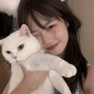 博鱼app下载(中国)官方网站