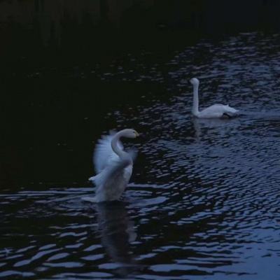 开元体育·登录入口