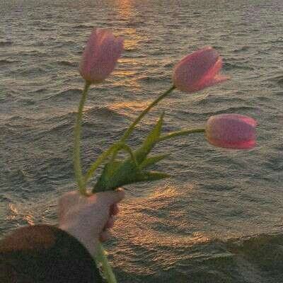 m6米乐官方入口app下载苹果