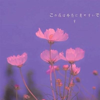 非凡体育APP下载下载手机版