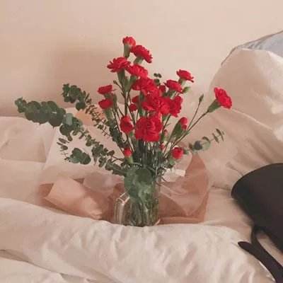 BOB体育综合下载平台